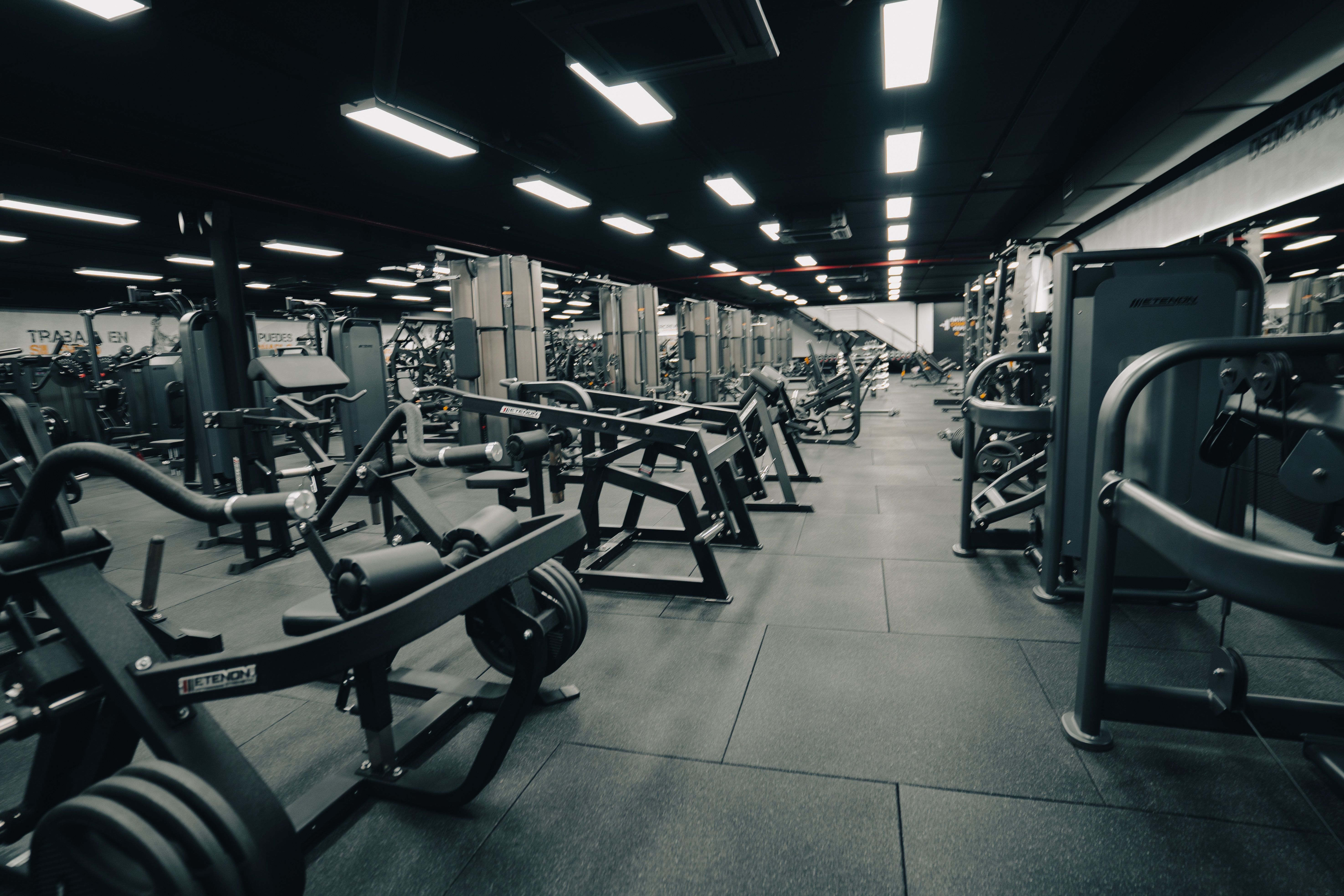 Gimnasio